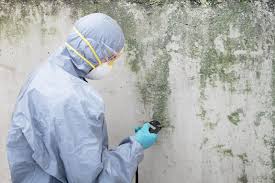 Best Crawl Space Mold Remediation  in Lockport Heights, IL